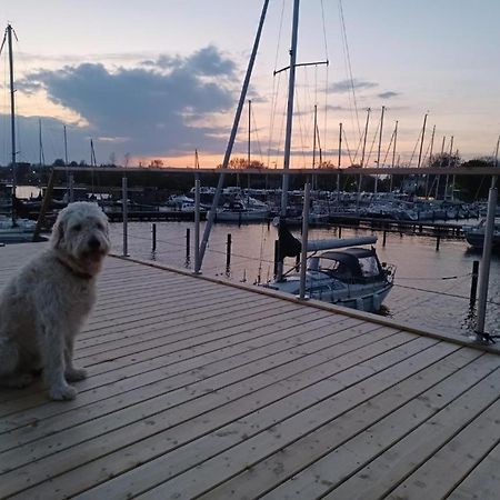Hausboot Gluecksmomente Mit Dachterrasse In Schleswig Am Ostseefjord Schlei Экстерьер фото